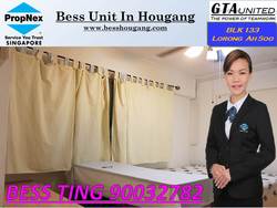 Blk 133 Lorong Ah Soo (Hougang), HDB 5 Rooms #165998052